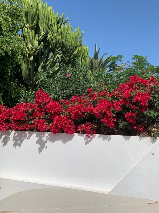 Lovely Villa Nico Playa Blanca, Hot Tub, Communal Pool 外观 照片